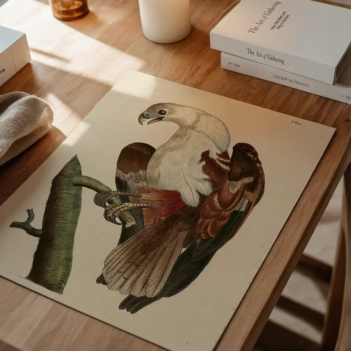 Vintage Pondicherry Eagle Bird Print