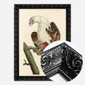 Black Ornate Frame