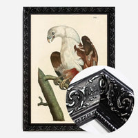 Vintage Pondicherry Eagle Bird Print