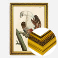 Gold Ornate Frame