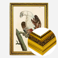 Vintage Pondicherry Eagle Bird Print