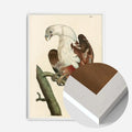 White Wood Frame