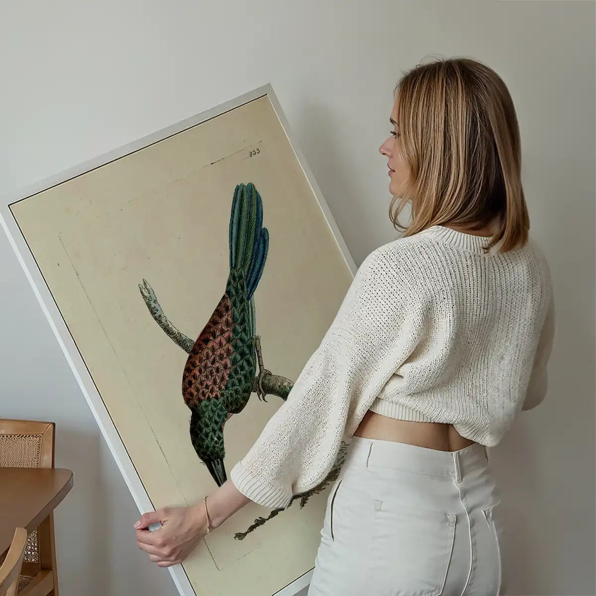 Vintage Great Jacamar Bird Print