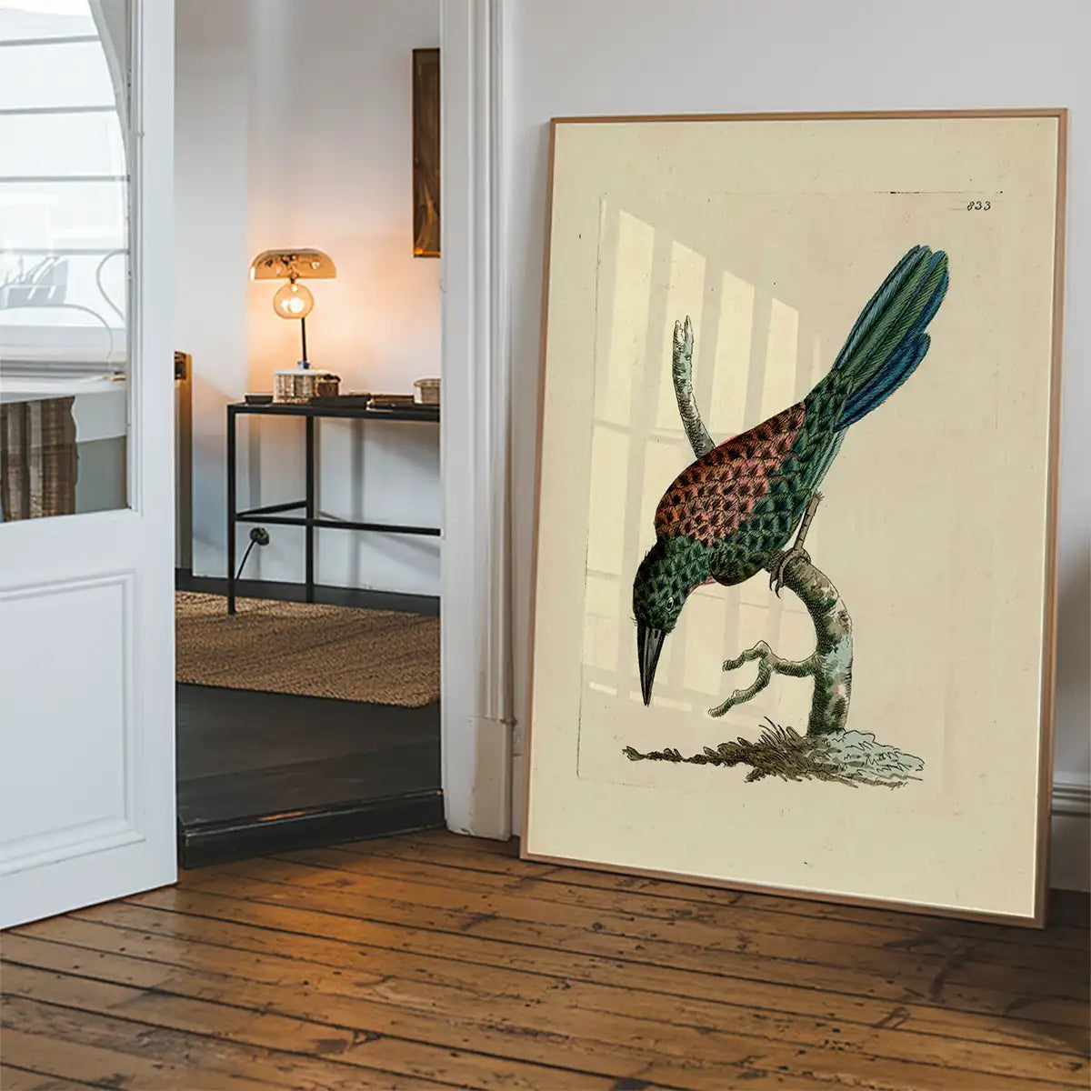 Vintage Great Jacamar Bird Print