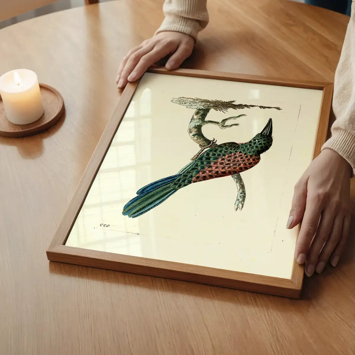 Vintage Great Jacamar Bird Print
