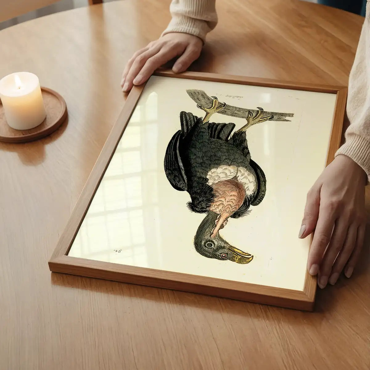 Vintage Alpine Vulture Print