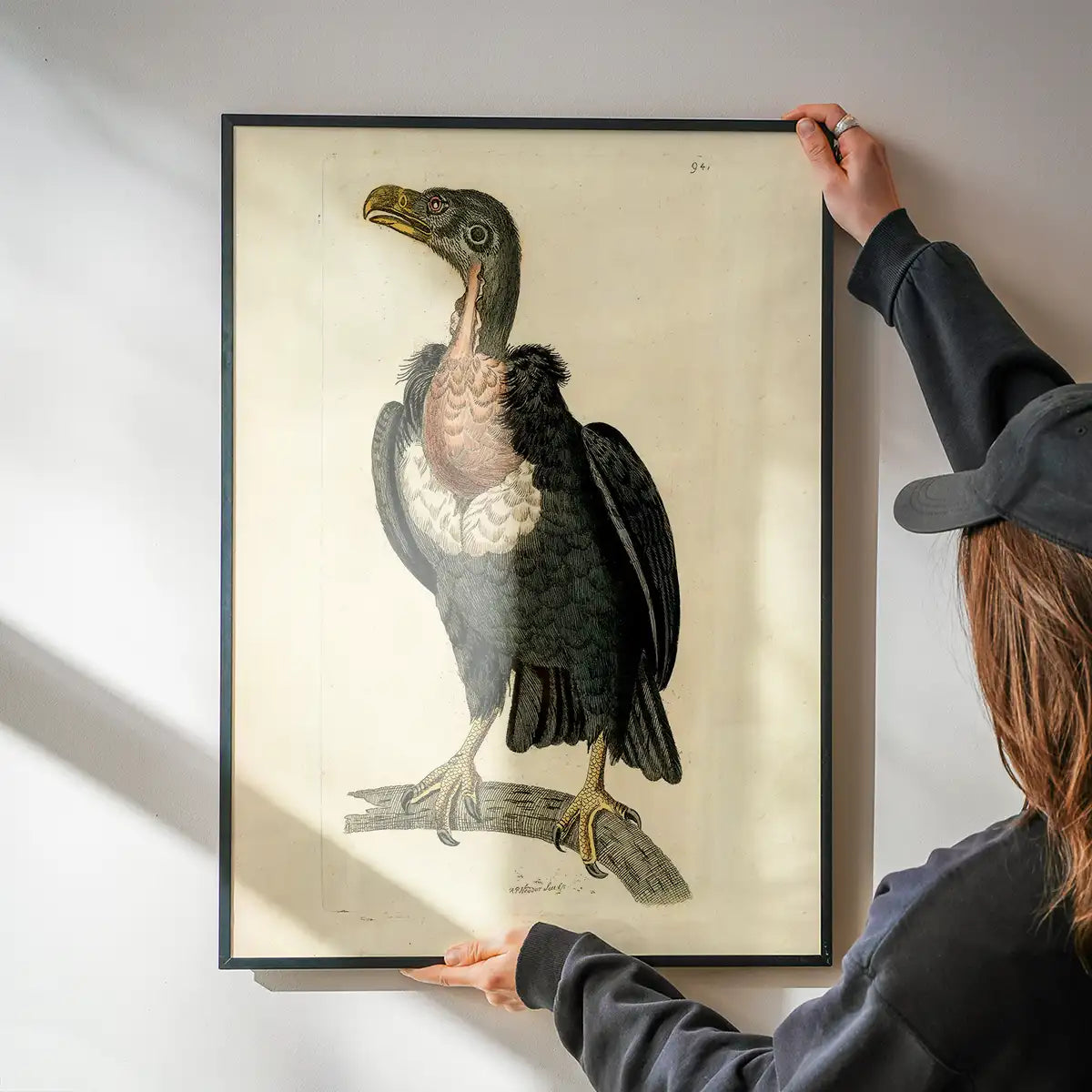 Vintage Alpine Vulture Print