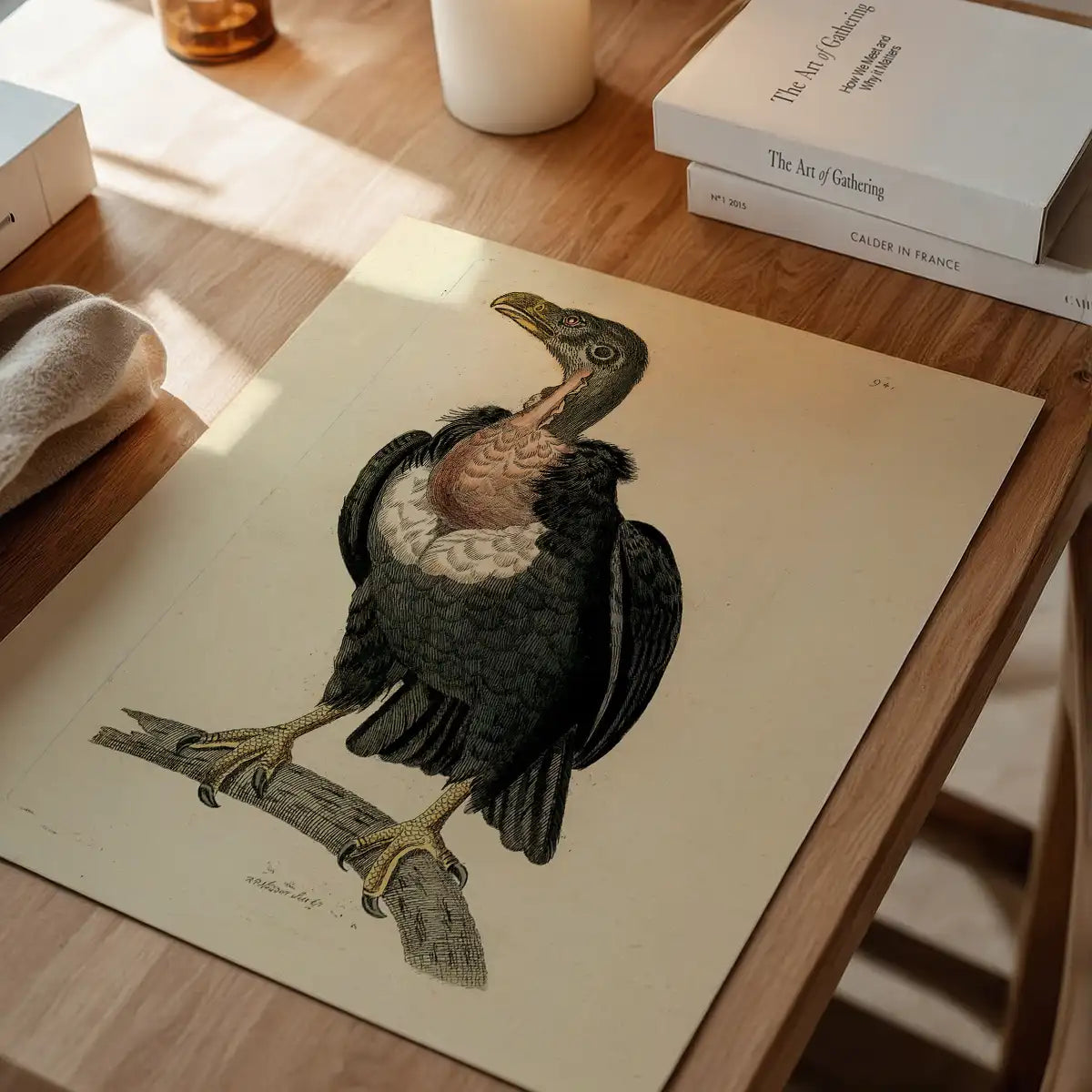 Vintage Alpine Vulture Print