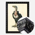 Black Ornate Frame