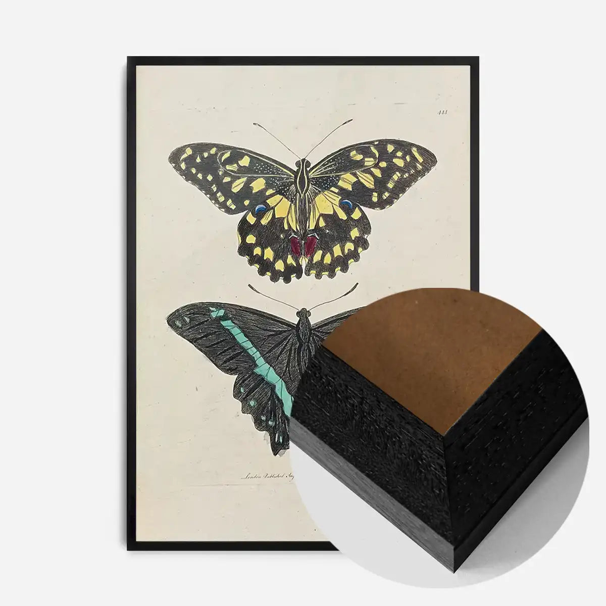 Vintage Butterflies Print