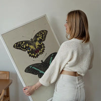 Vintage Butterflies Print