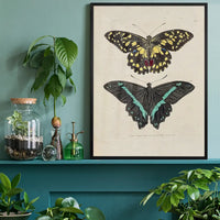 Vintage Butterflies Print