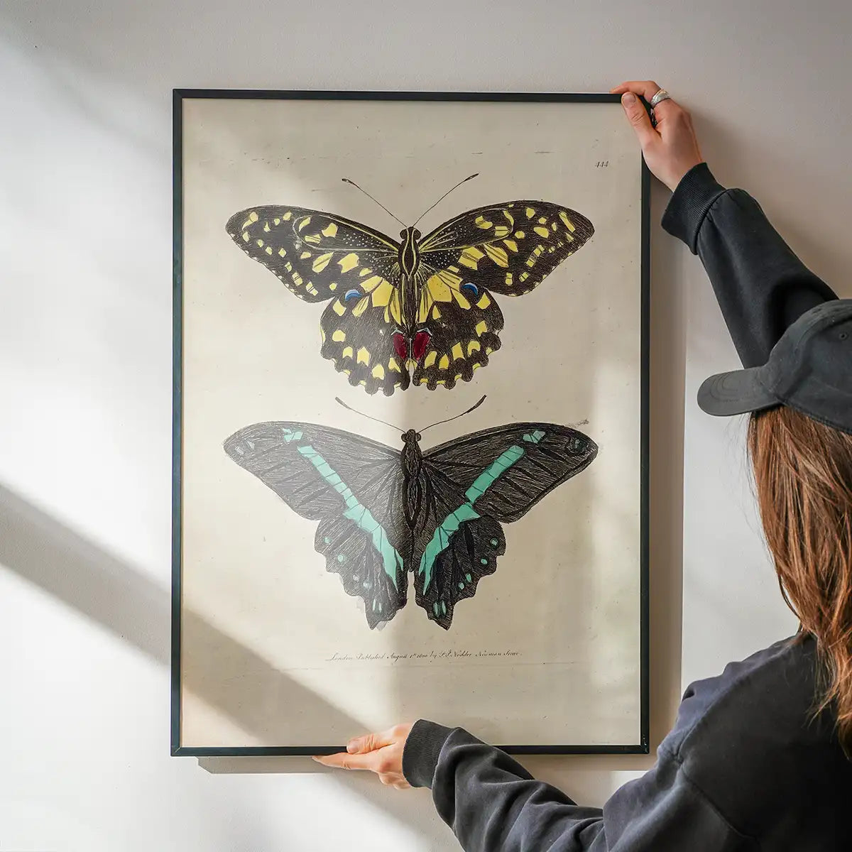 Vintage Butterflies Print