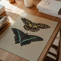 Vintage Butterflies Print