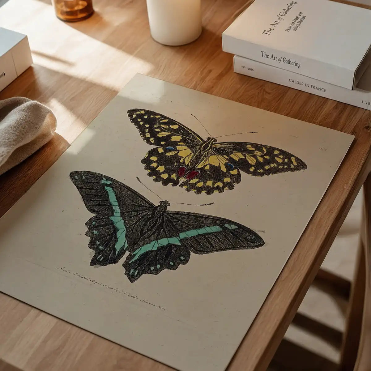 Vintage Butterflies Print
