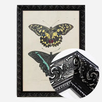 Vintage Butterflies Print