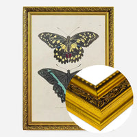 Vintage Butterflies Print