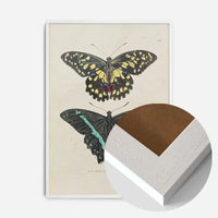 Vintage Butterflies Print