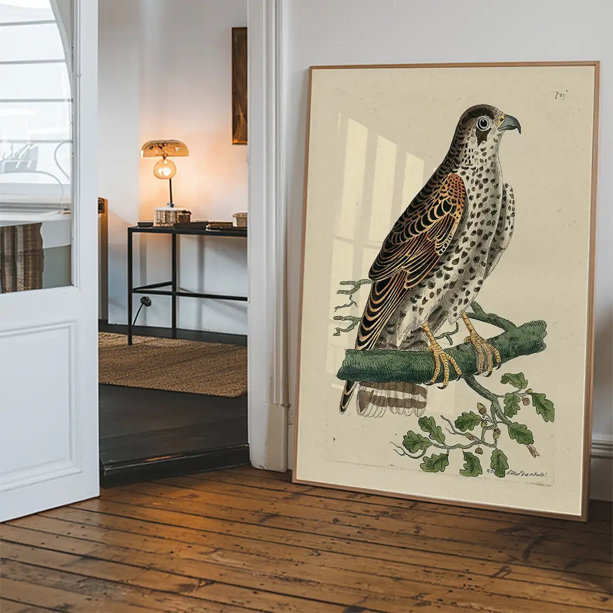 Vintage Falcon Bird Print
