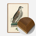 Oak Wood Frame