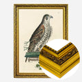 Gold Ornate Frame