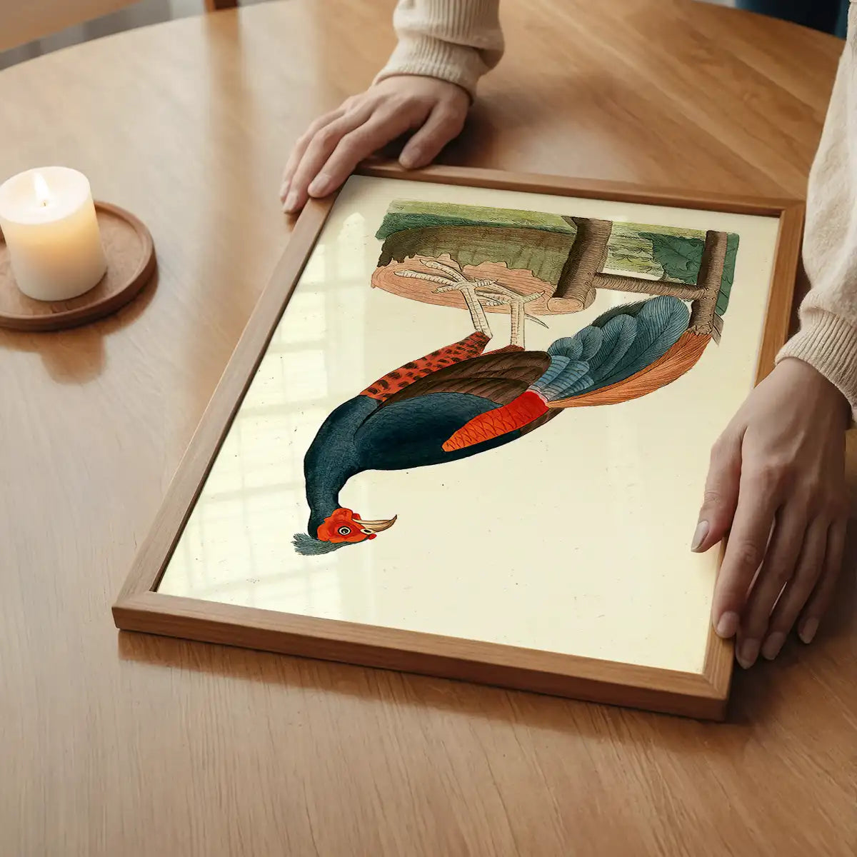 Vintage Fire-Backed Pheasant Bird Print
