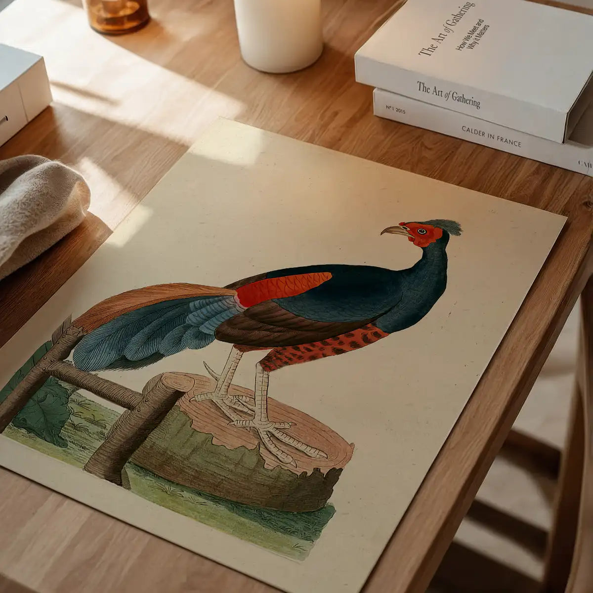 Vintage Fire-Backed Pheasant Bird Print