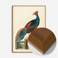 Oak Wood Frame