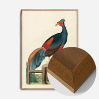 Vintage Fire-Backed Pheasant Bird Print