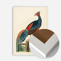 White Wood Frame