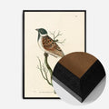 Black Wood Frame