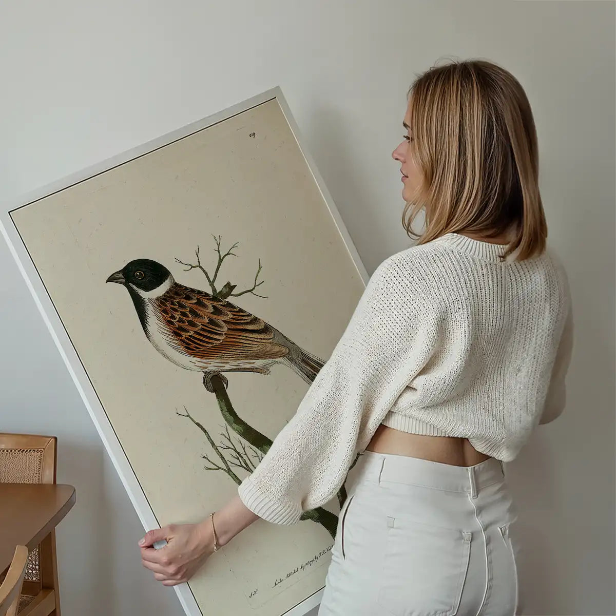 Vintage Ludovician Grossbeak