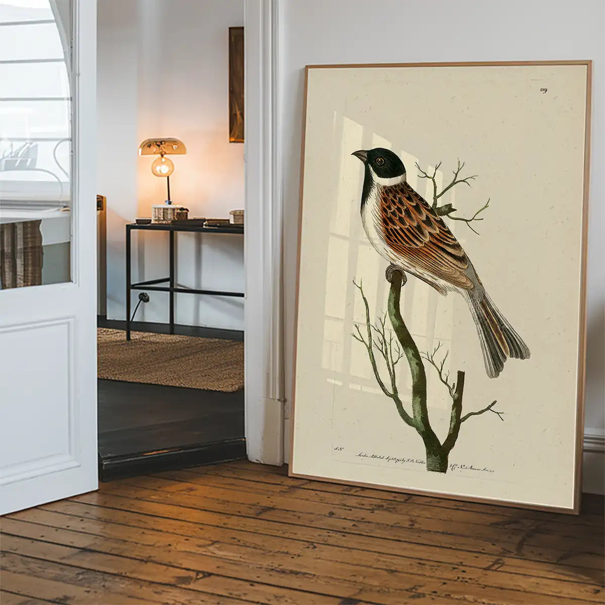 Vintage Ludovician Grossbeak