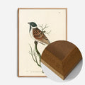 Oak Wood Frame