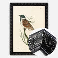 Black Ornate Frame