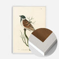 White Wood Frame