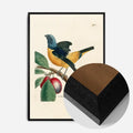 Black Wood Frame