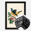 Black Ornate Frame
