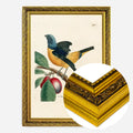 Gold Ornate Frame