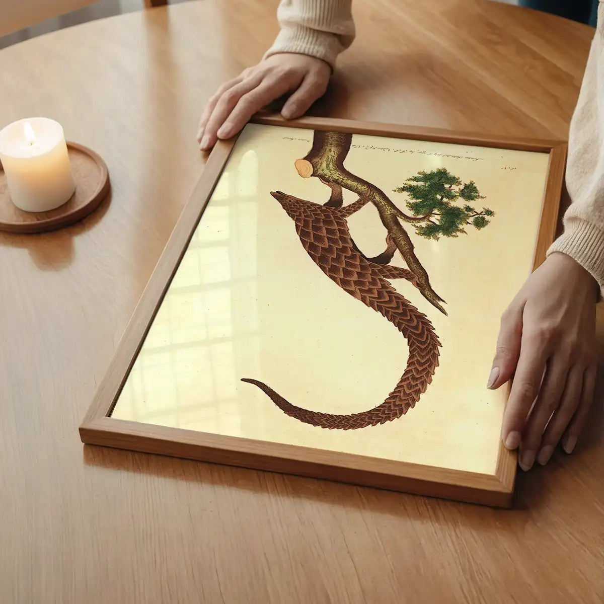 Vintage Long Tailed Pangolin