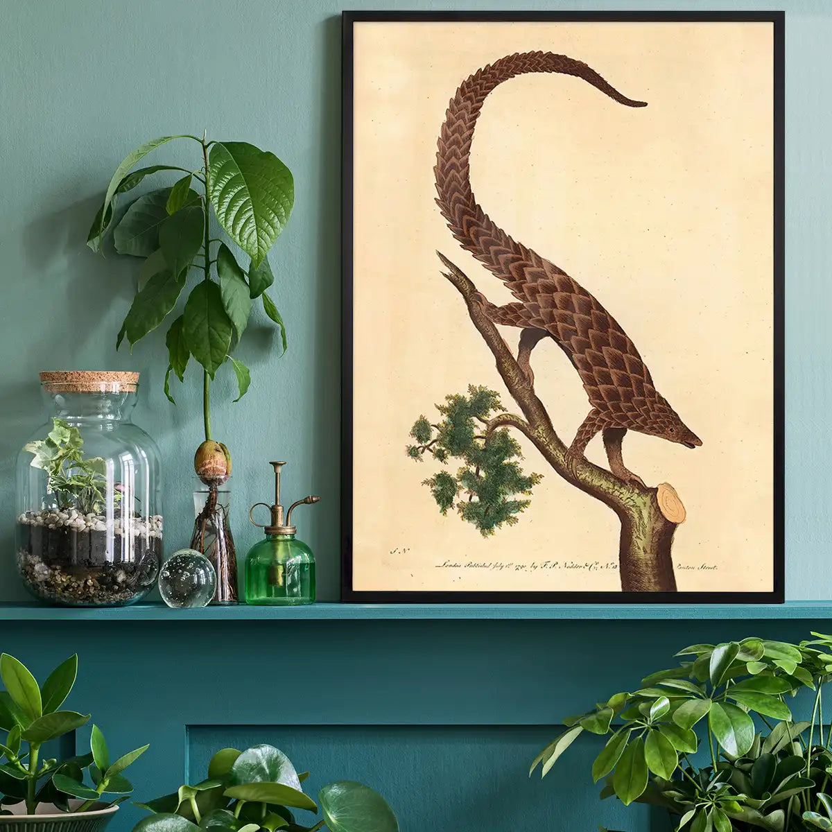 Vintage Long Tailed Pangolin