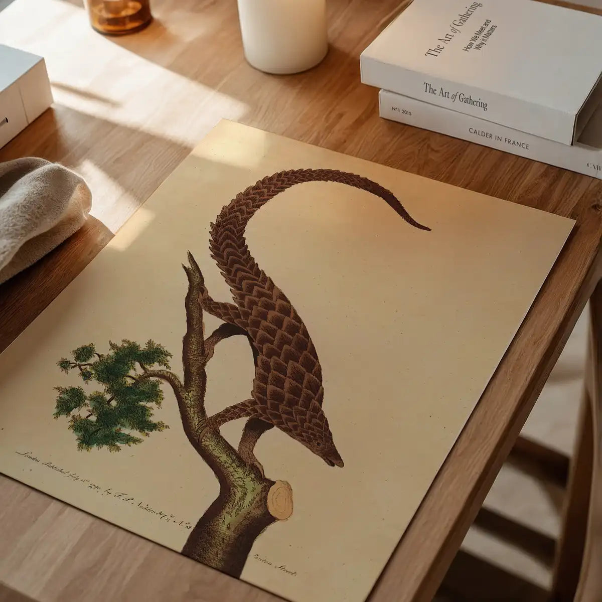 Vintage Long Tailed Pangolin