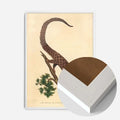 White Wood Frame
