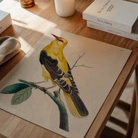 Vintage Golden Oriole