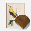 Oak Wood Frame