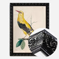 Black Ornate Frame