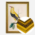 Gold Ornate Frame
