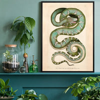 Vintage Canine Boa Snake Print