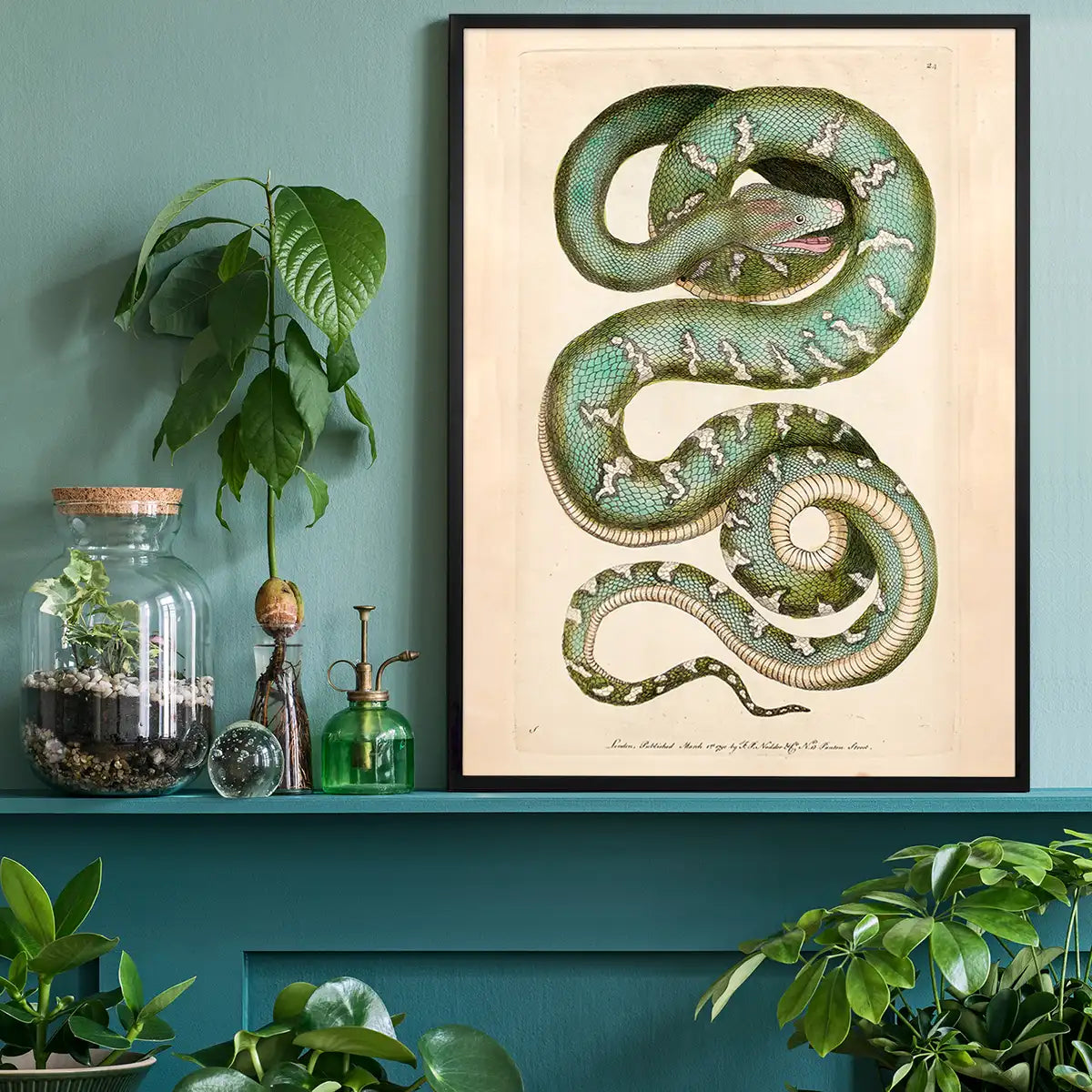 Vintage Canine Boa Snake Print