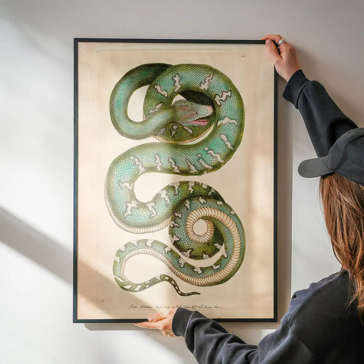 Vintage Canine Boa Snake Print